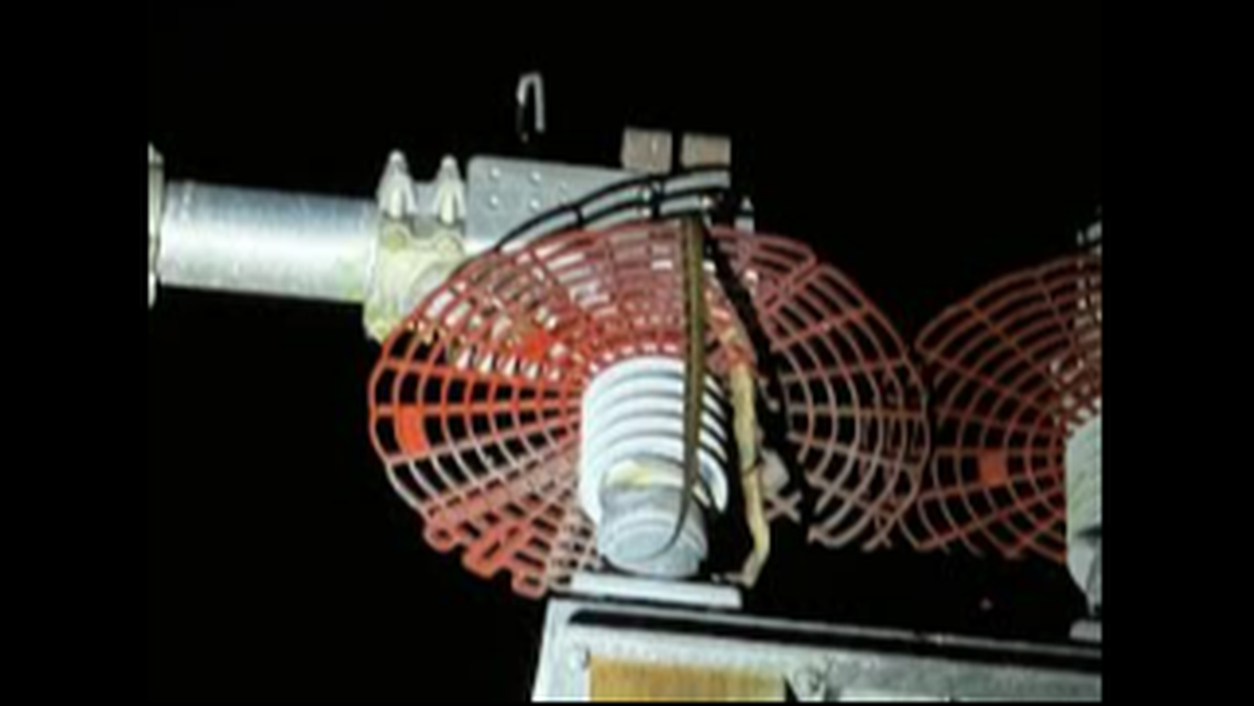 This photo was taken at the substation after a snake climbed into the equipment and caused an outage, officials say.