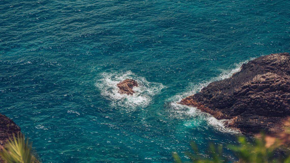 In the shallow waters off the coast of Taiwan, a new long-armed creature was discovered.