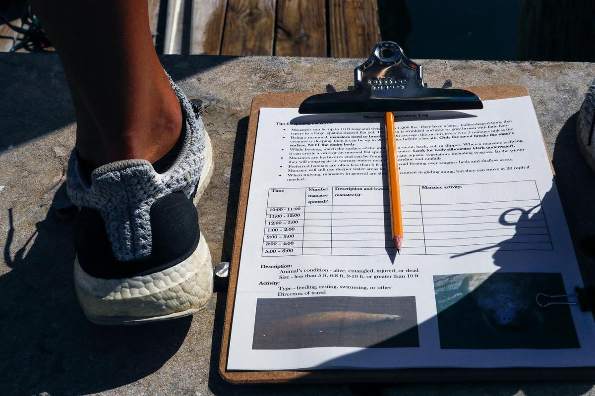 Manatee observers keep a record of spotted manatees on a manatee information log during the Miami International Boat Show on Friday, Feb. 18, 2022.