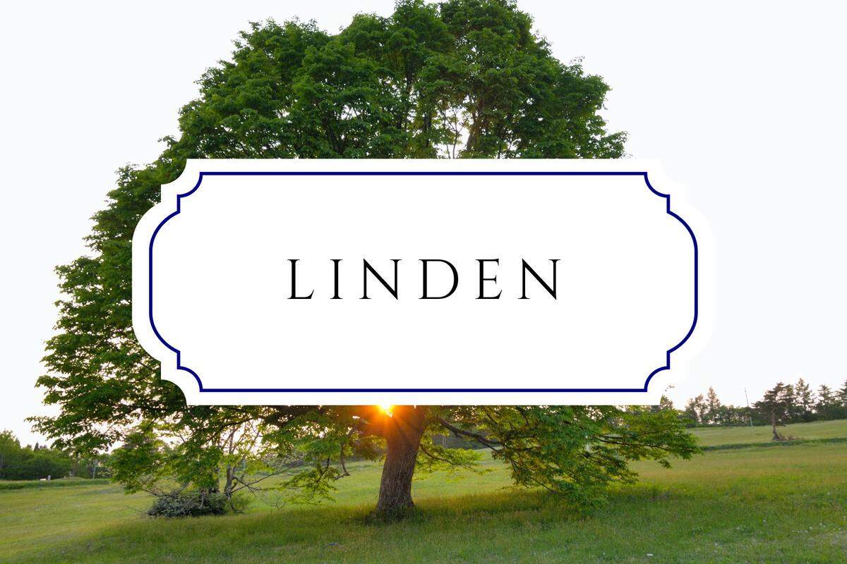 botanical baby names linden