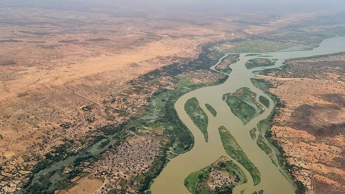 Two new species of suckermouth catfish were identified in west Africa, researchers said in a new study.