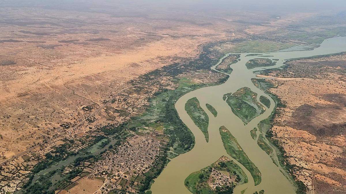 Two new species of suckermouth catfish were identified in west Africa, researchers said in a new study.