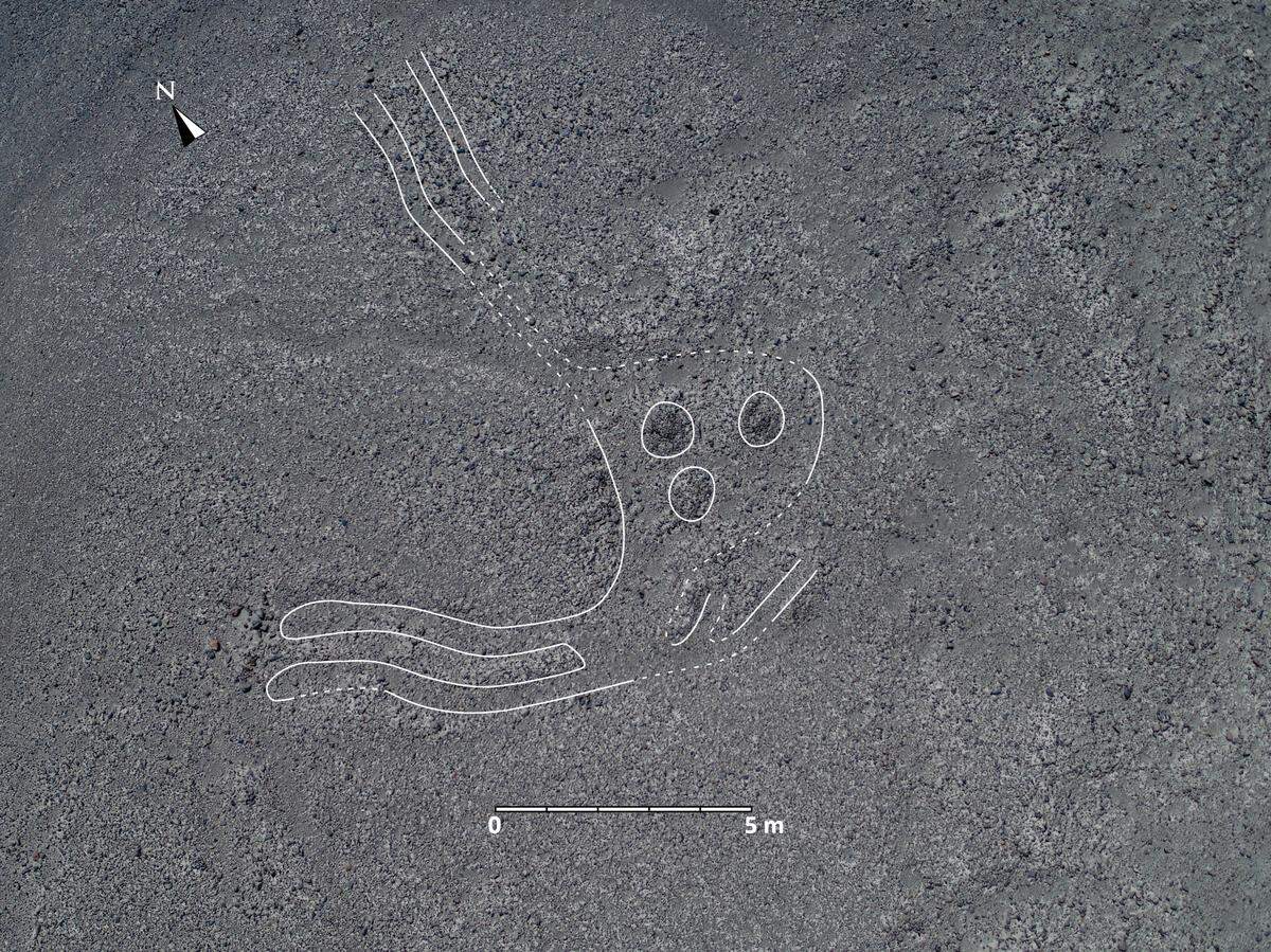 A rabbit-looking geoglyph.