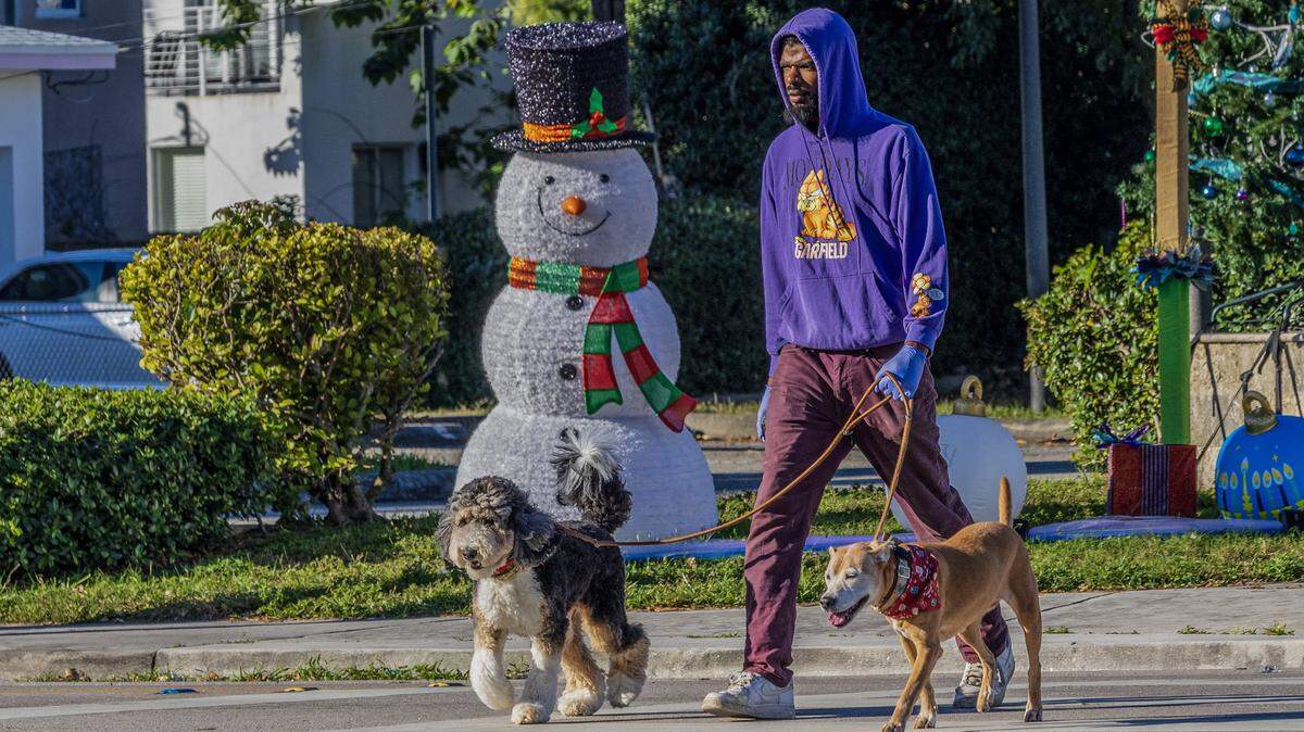 The cold temperatures didn't stop a man from taking his dogs for a walk in Coconut Grove, as Miami woke to one of its coldest New Year's Eves in decades, on Wednesday, December 31, 2025. 