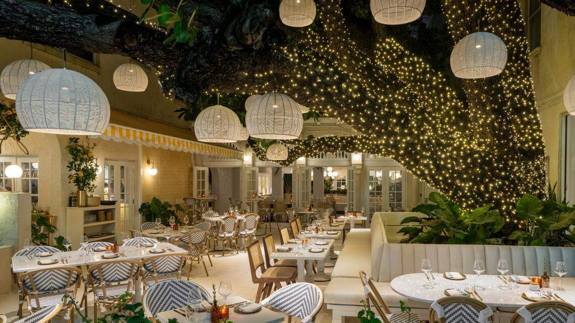 You can dine under a tree at the new Motek Mediterranean restaurant on South Beach.