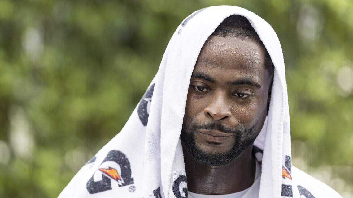 Dolphins let go two offensive linemen, sign former UFL safety