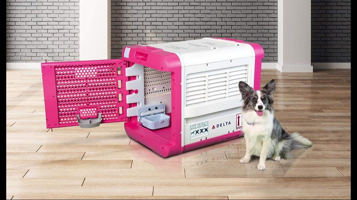 Delta Air Lines has partnered with CarePod to develop new travel carriers for pets.