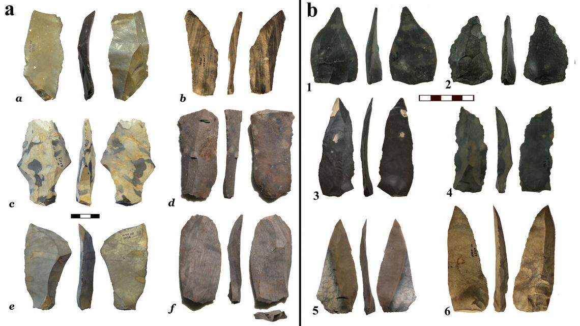 Evidence found at the site indicates that the knives were used to butcher the animals, not to kill them, researchers said.