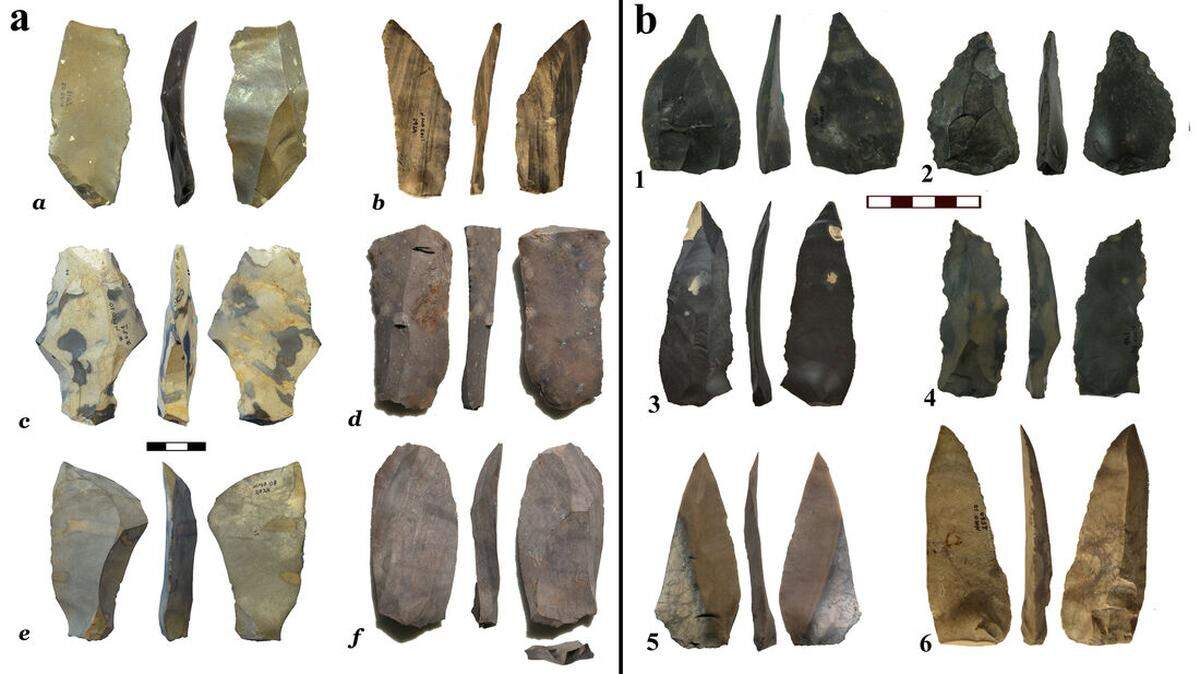Evidence found at the site indicates that the knives were used to butcher the animals, not to kill them, researchers said.