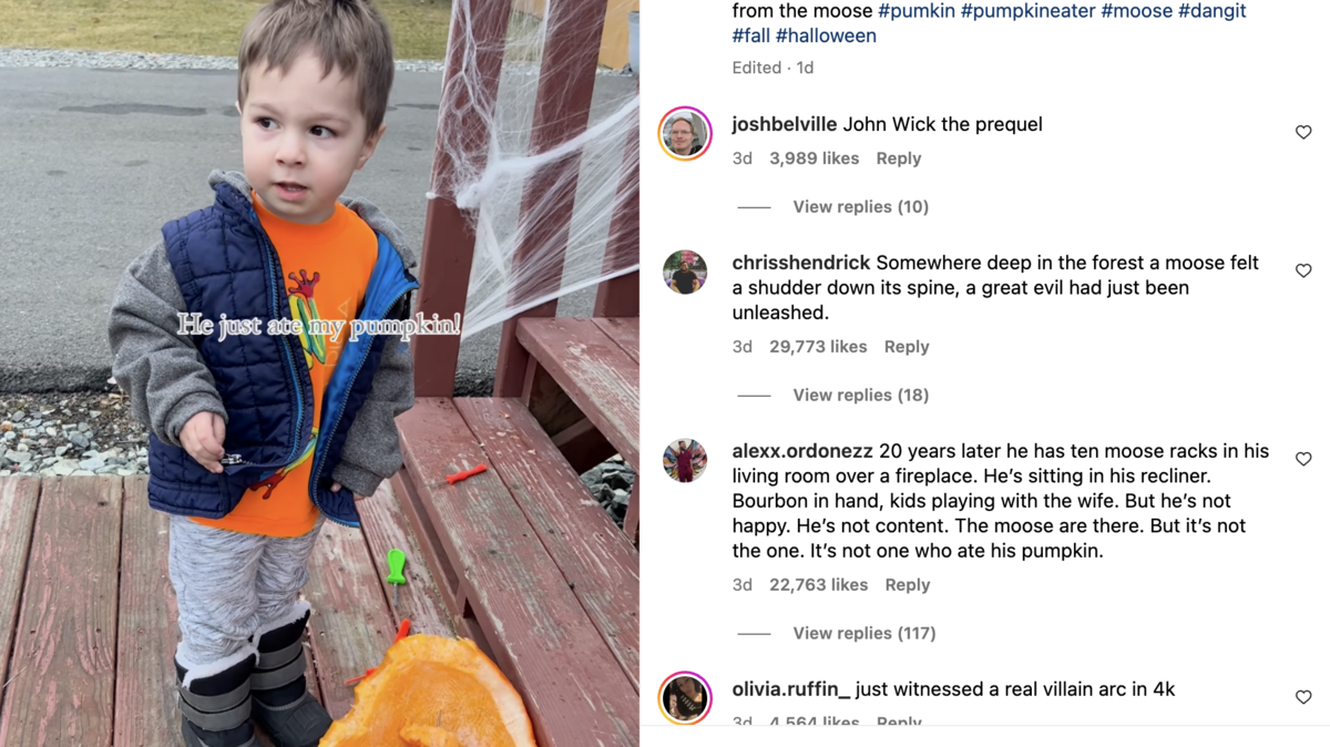 Boy gets made after moose eats his carved pumpkin.