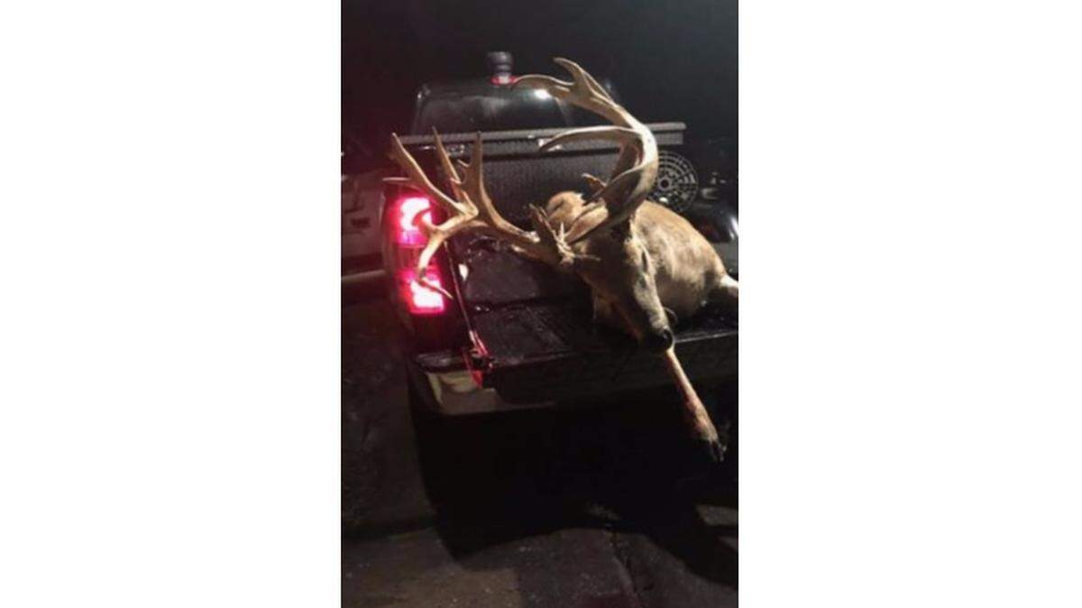The Martin County Sheriff’s Office tracked down a Florida man who illegally killed a potential record class 23-point buck on state property.