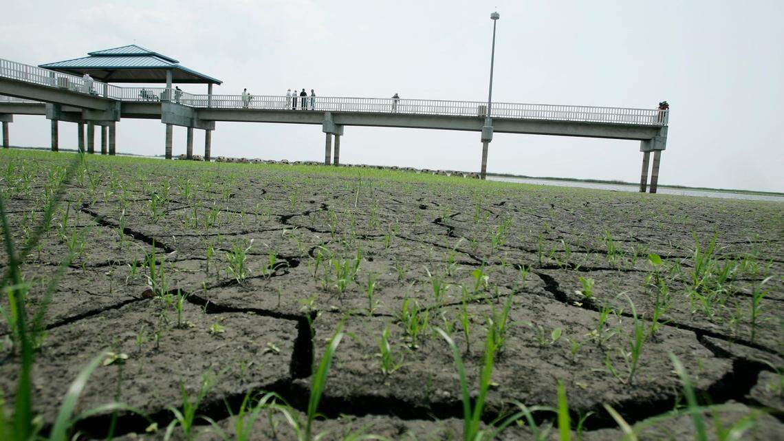 A drought exposed parts of the lake bottom in 2007, shown here. This year, the U.S. Army Corps of Engineers wants to lower the lake following high levels for five of the last six years to avoid polluted summer discharges and give the marshy fringes a chance to recover. But farmers worry lowering the lake could lead to water restrictions if summer rains are light.