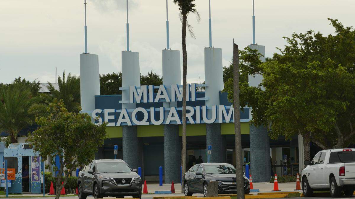 The owner of the Miami Seaquarium filed for federal bankruptcy protection on March 31, 2025.