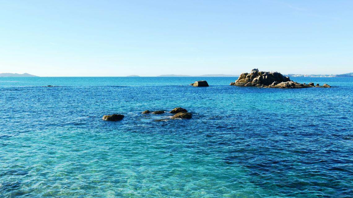 Off the coast of Spain, a long creature can contort its body into something much smaller.