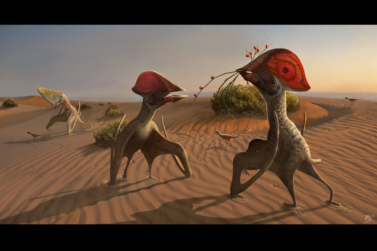 Pterosaurs were giant crested creatures that circled above desert oases more than 100 million years ago.