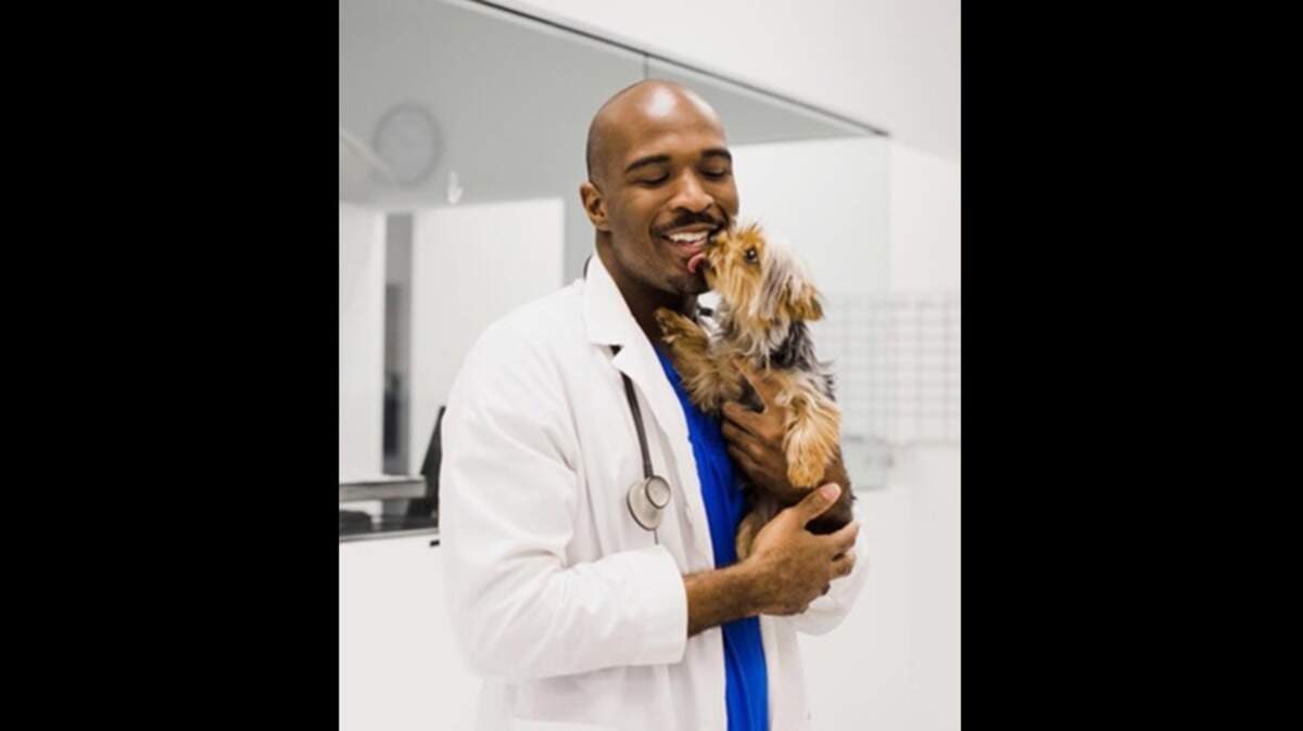 Prentiss Madden, veterinario de Aventura, está acusado de tener pornografía infantil y de abusar de un perro.
