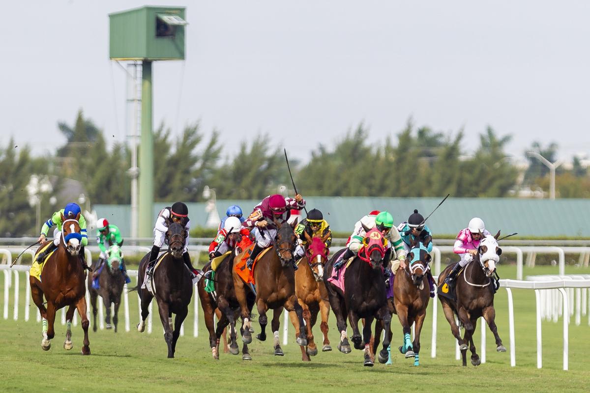Irad Ortiz Jr. (8) and his brother Jose Ortiz (12) compete against each other during a horse race at Gulfstream Park in Hallandale Beach, Florida, on Wednesday, Jan. 9, 2019. The Ortiz brothers are regarded as two of the best jockeys in the nation.