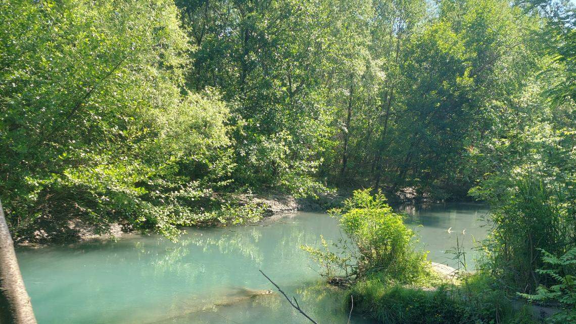 Scientists fishing in Kakheti reeled in an animal from a “swampy” part of the Alazani River and discovered a new species, the study said.