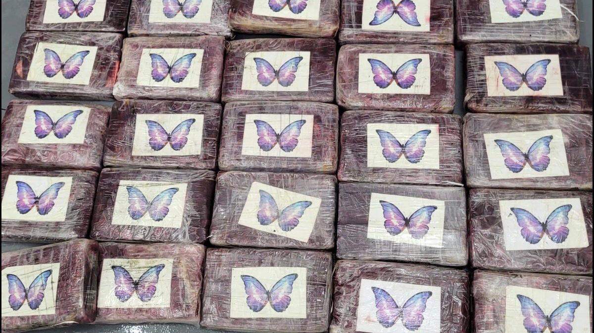 Packages of cocaine with images of butterflies on the wrappings are displayed on a table. Federal agents said the shipment was found off the Florida Keys by a recreational boater Sunday, July 24, 2023.