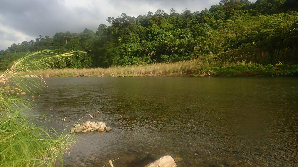 In a river in northern Taiwan, fish enthusiasts saw a species they didn’t recognize and snapped a photo.
