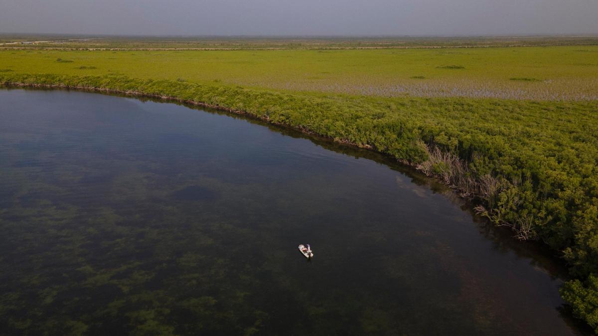 An aerial view of southern Biscayne Bay looking east shows patches of seagrass along the floor of the bay Thursday, Sept 2, 2021.