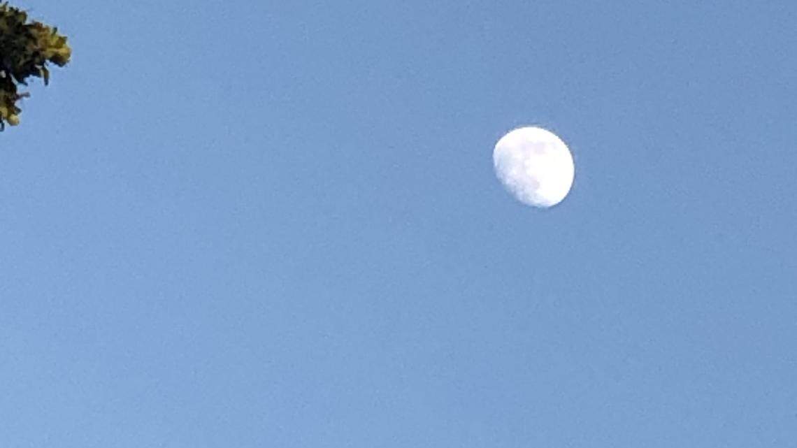 Moon over Miami might be the best time to catch fish