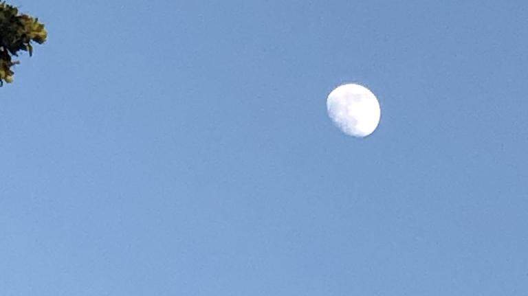 Moon over Miami might be the best time to catch fish