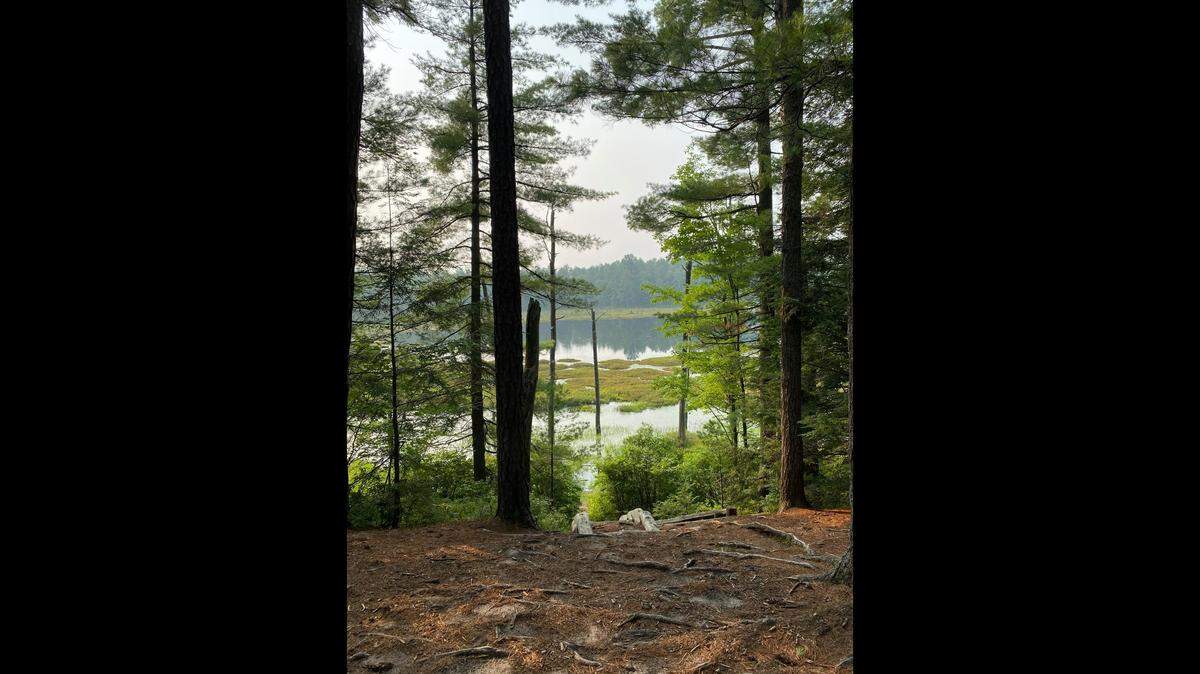 Two of the bodies were found in a barrel at Bear Brook State Park in Allenstown, New Hampshire, and two others, both children, were found in a barrel on private property near the park, the DNA Doe Project says. 