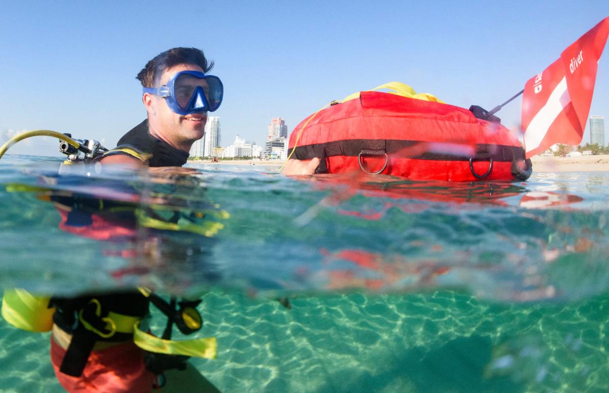 Un grupo de sábalos nadando por el agua durante una inmersión en un arrecife frente a South Beach el miércoles 29 de mayo de 2024, en Miami. Patrick Breshike y David Grieser están trabajando para proteger la zona moviendo las boyas más allá del arrecife para que los navegantes no anclen en la zona.