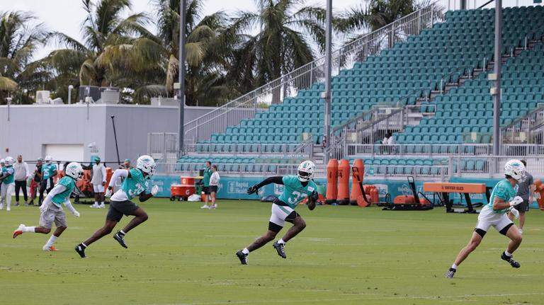 Photo Gallery: Miami Dolphins Organized Team Activities