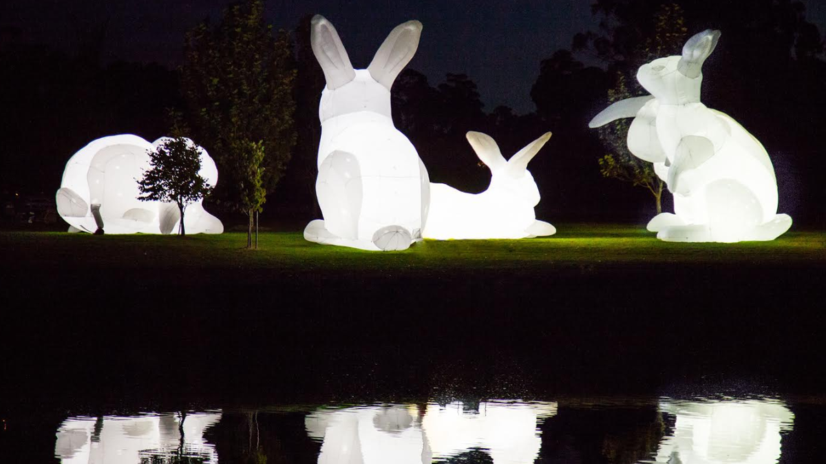 Big Bunny Invasion
