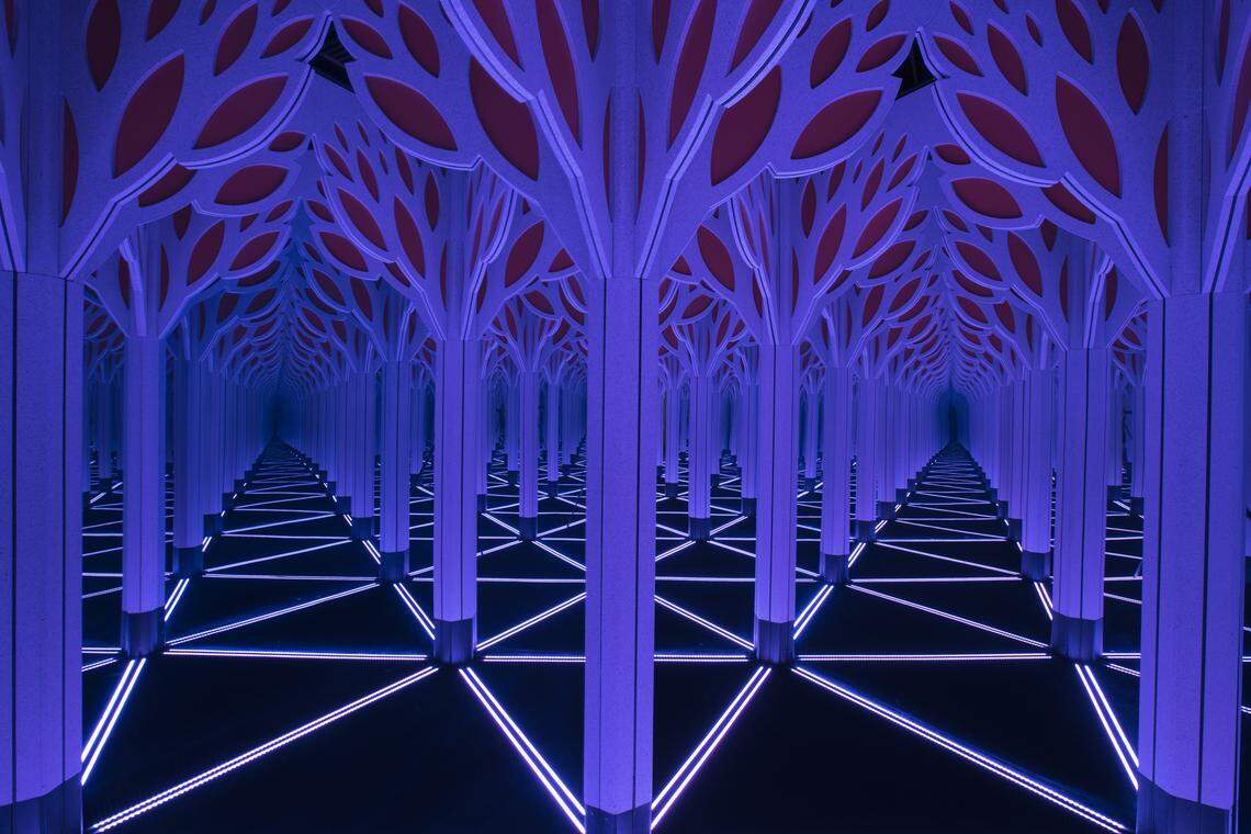 Mirror Maze at Frost Science