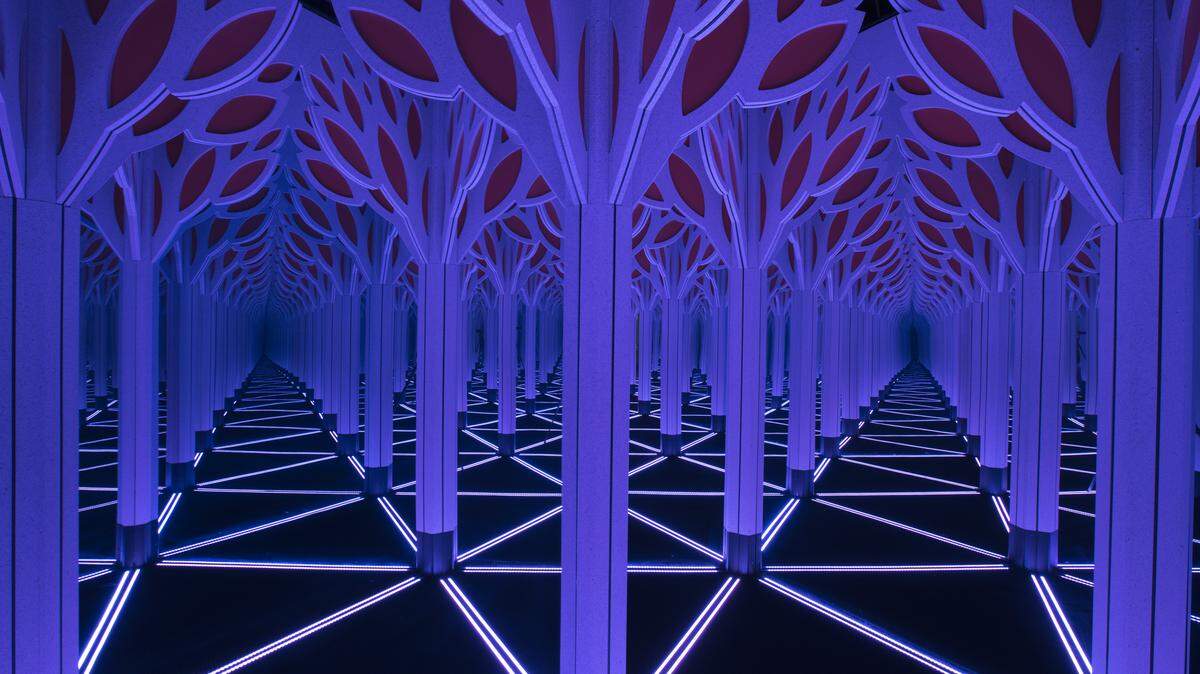 Can you find your way out?