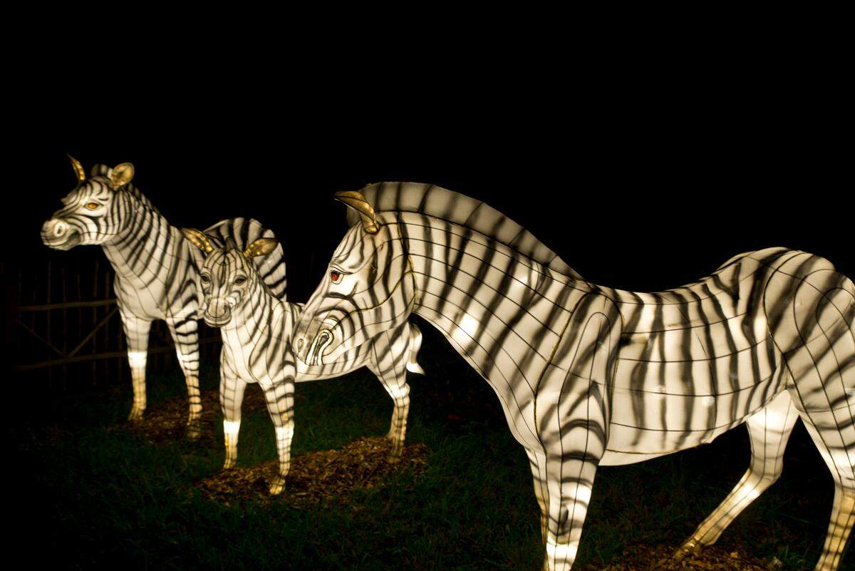 Even the animals light up at Zoo Lights.