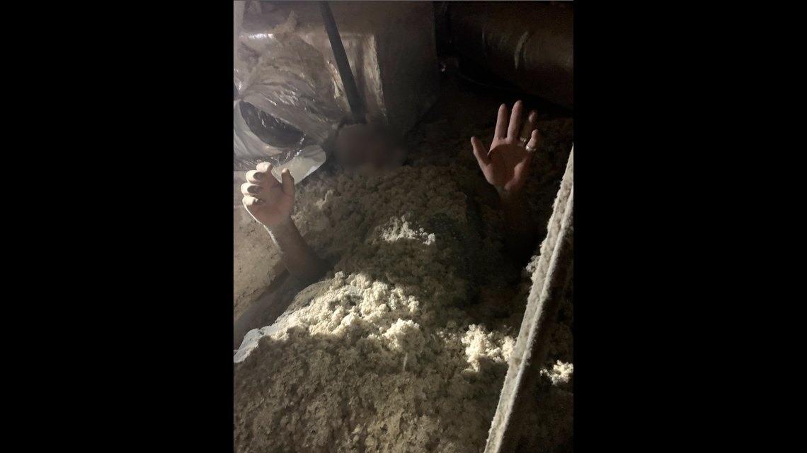 Human arms found sticking out of insulation in Florida attic were attached to hiding burglary suspect, Lee County officials say.