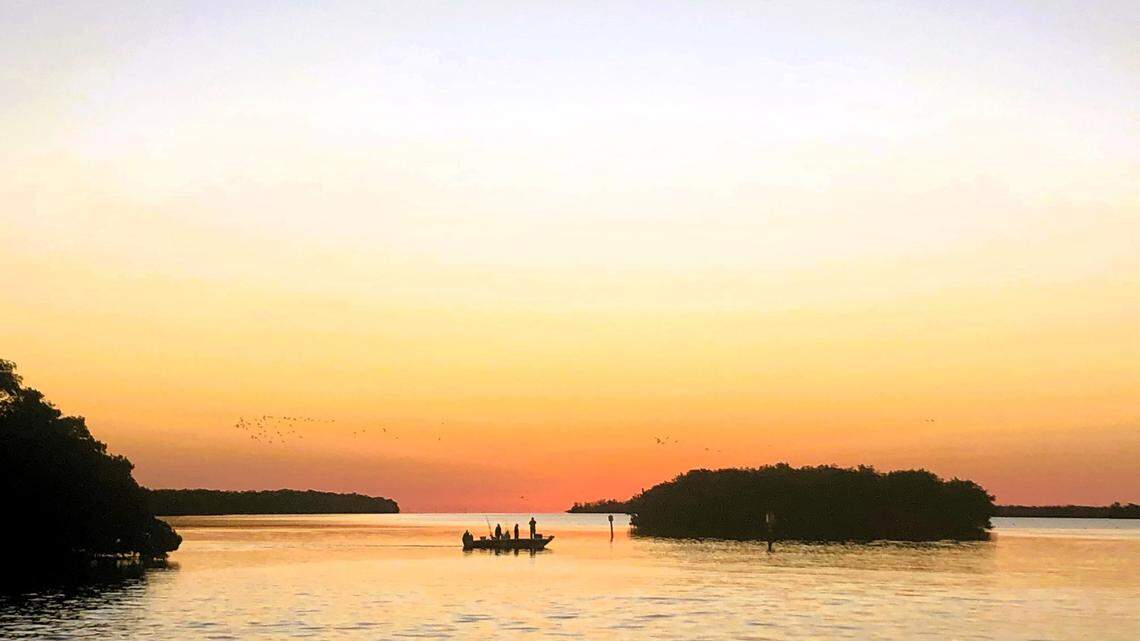 Nature to the rescue, bugs included: We need the outdoor therapy in contentious 2024 | Opinion