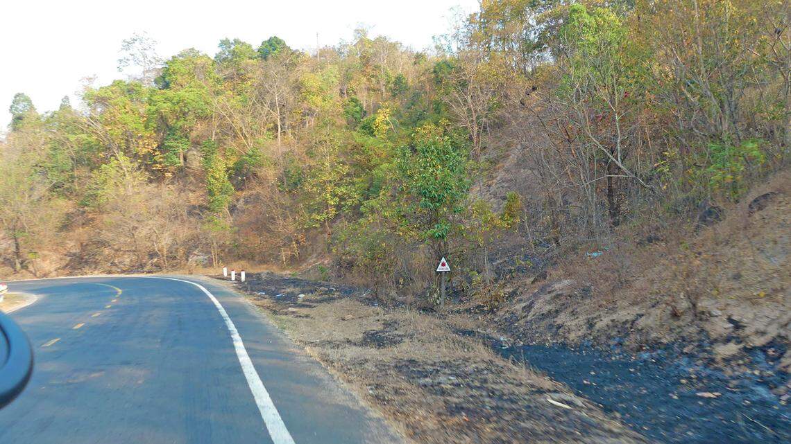 Scientists discovered the new species of animal, Dixonius gialaiensis, along a mountain highway in Gia Lai province on a hot night, a study said.