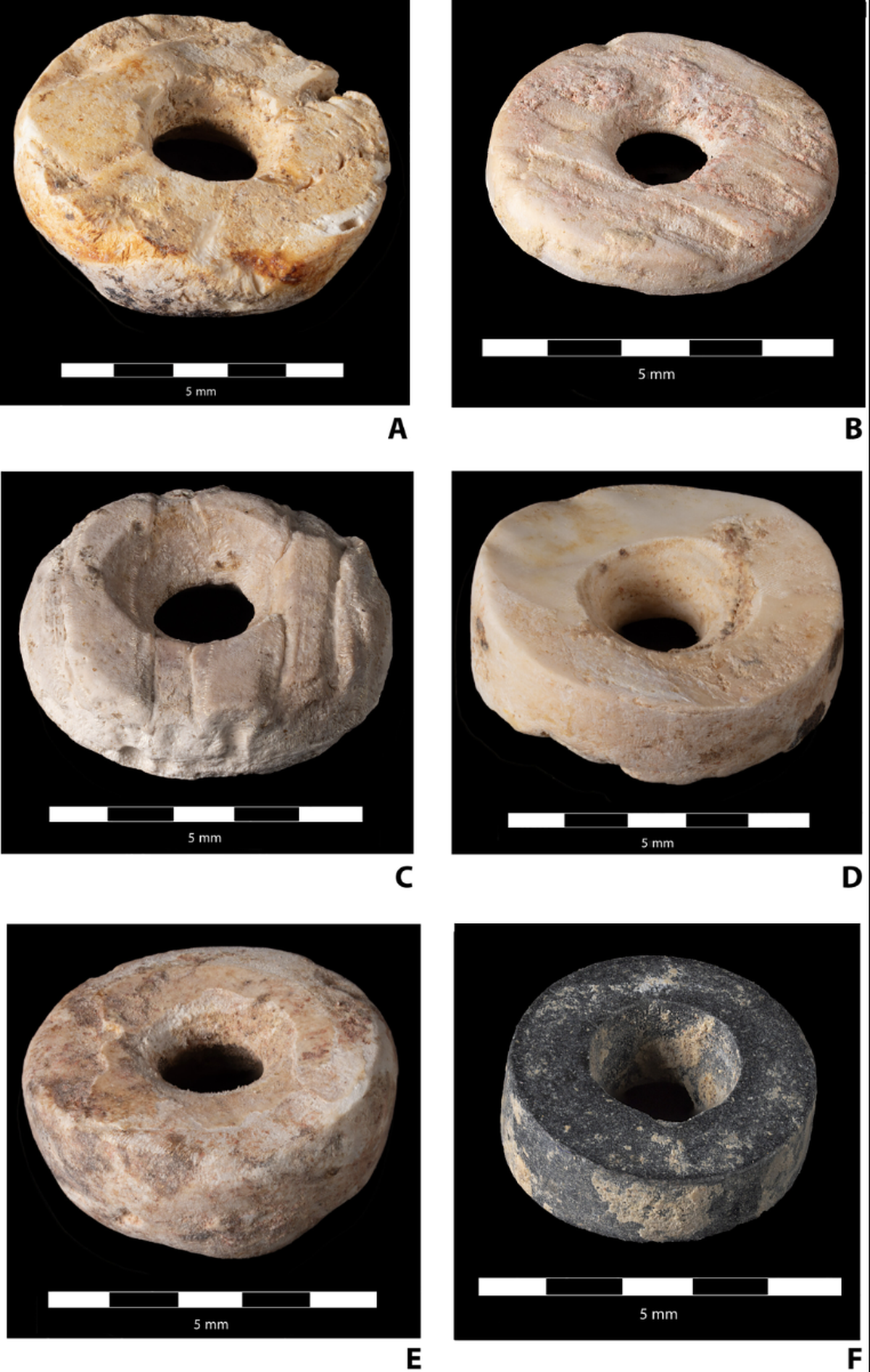Most of the beads were made from shells, but some were made of bone or stone, researchers said.