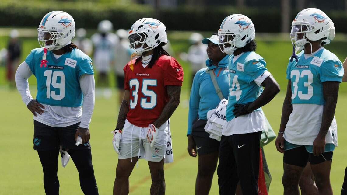 Dolphins newcomers relish the ‘great opportunity’ with new team