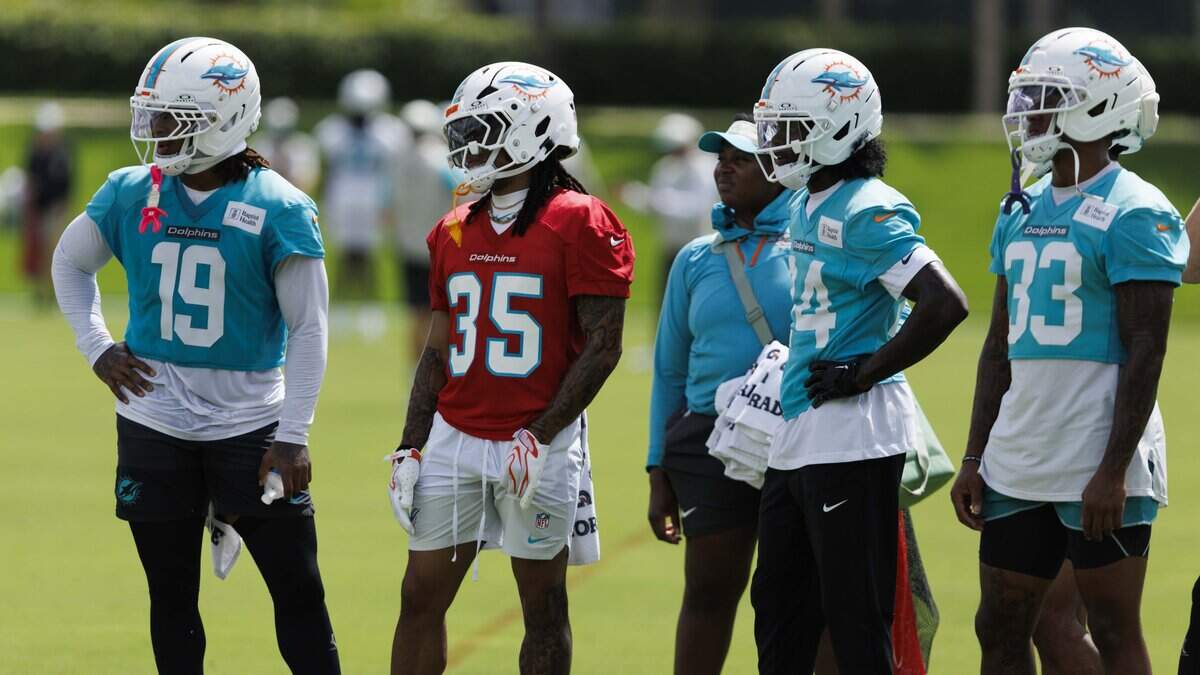 Dolphins newcomers relish the ‘great opportunity’ with new team