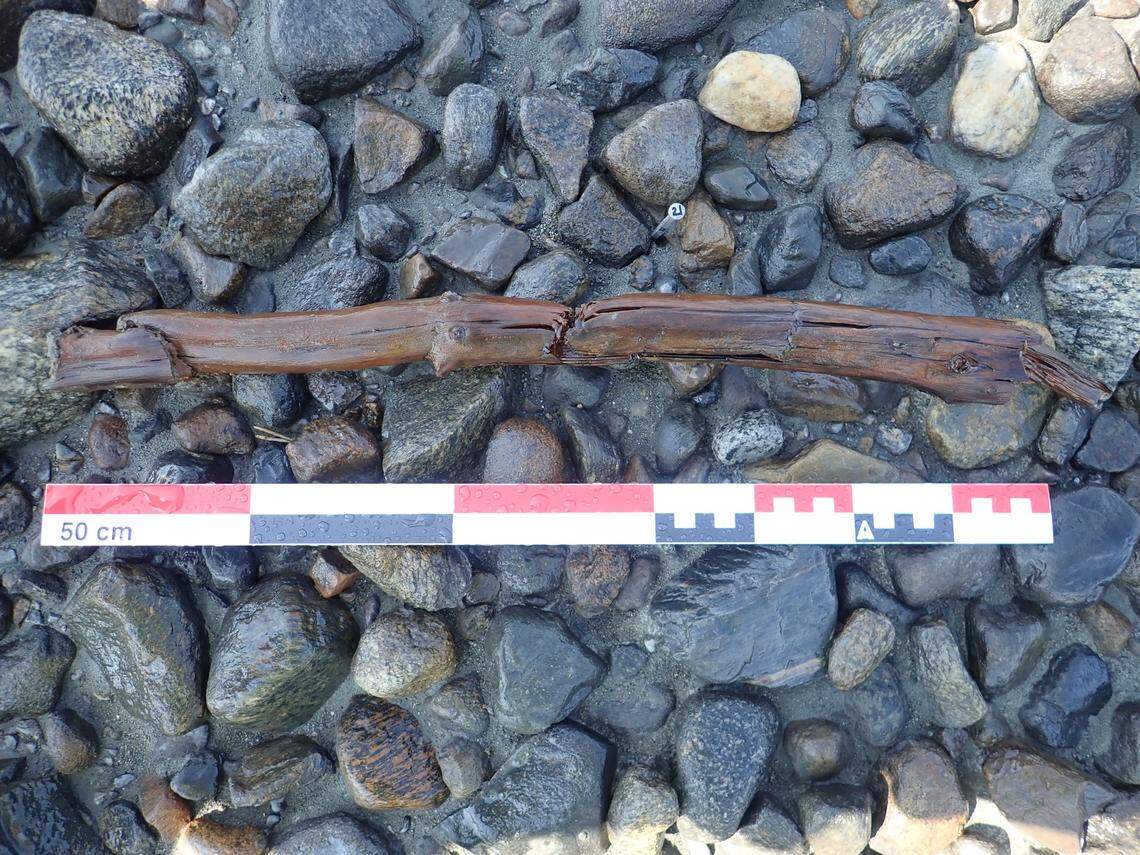 A close-up photo of one of the damaged wooden poles.