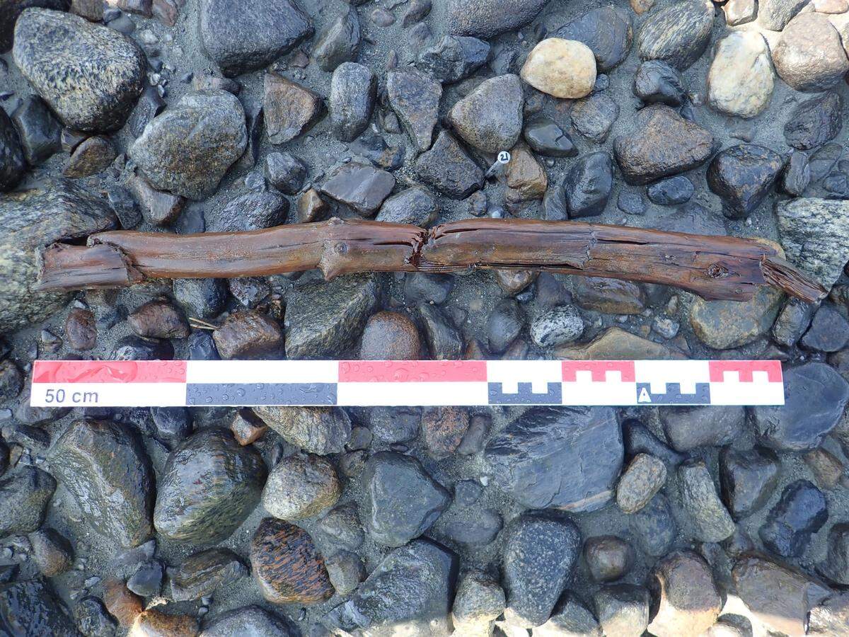 A close-up photo of one of the damaged wooden poles.