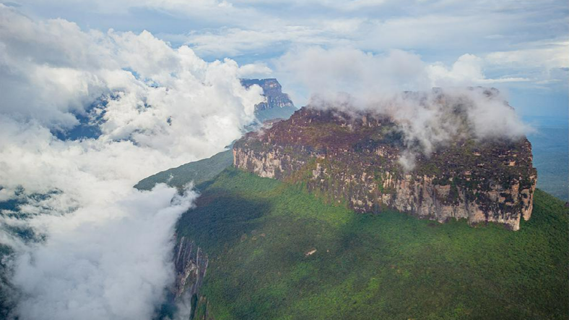 Scientist exploring the summit of Murisipán-tepui found animals hiding under rocks and discovered a new species: Stefania lathropae, a study said.
