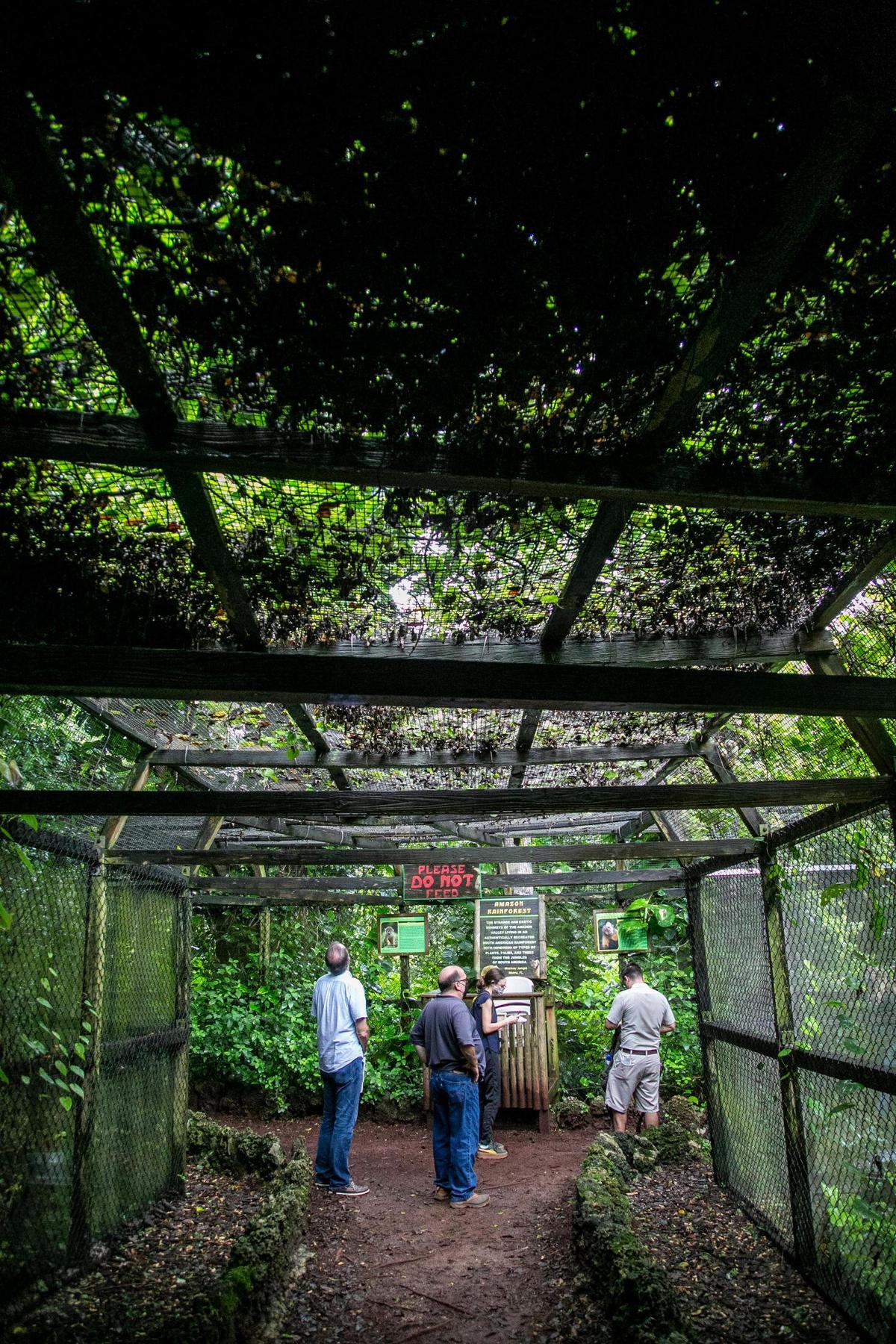 Las veredas encerradas, en las que los humanos están dentro y los primates fuera, son una característica clave de Monkey Jungle. Esta es la entrada a la exposición de la selva amazónica.