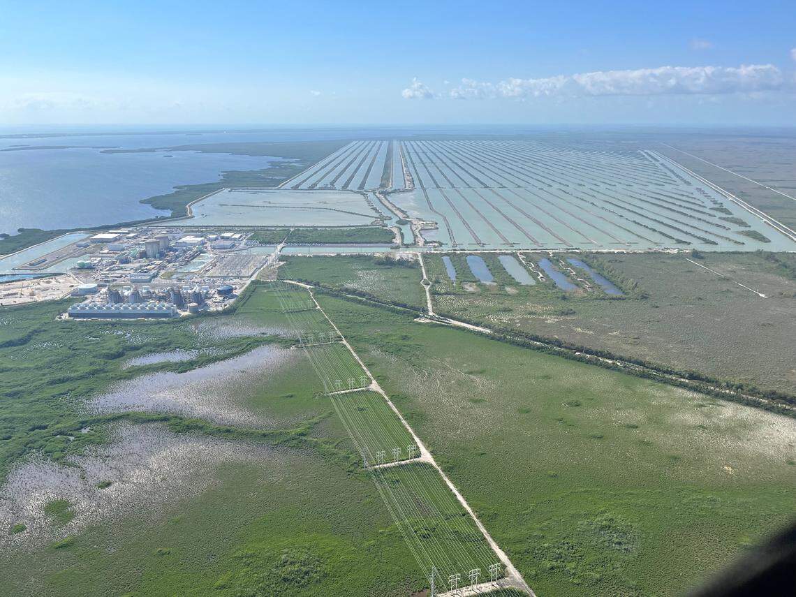 An aerial view of the cooling canal system at the Turkey Point nuclear power plant in Homestead, Florida on February 23, 2023.