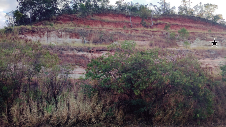 Prehistoric predator — dragon of the west wind — found in rolling chunk of rock