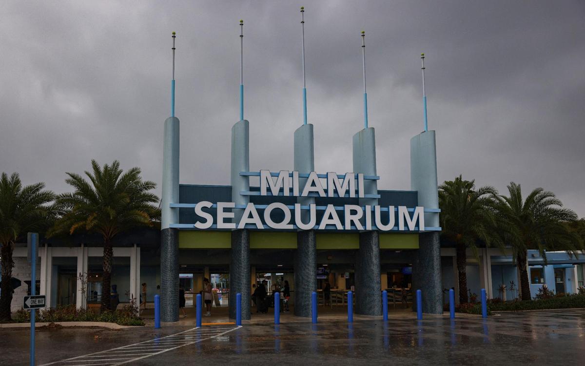 The Miami Seaquarium, a marine-mammal theme park since the 1950s, plans to open its gates for the final time to the public on Sunday, Oct. 12, 2025, before Miami developer David Martin takes over the property for a redevelopment.