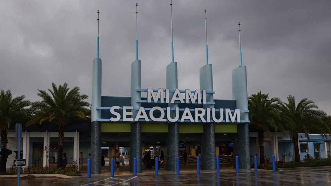 You only have days left to visit the Miami Seaquarium before its gates close