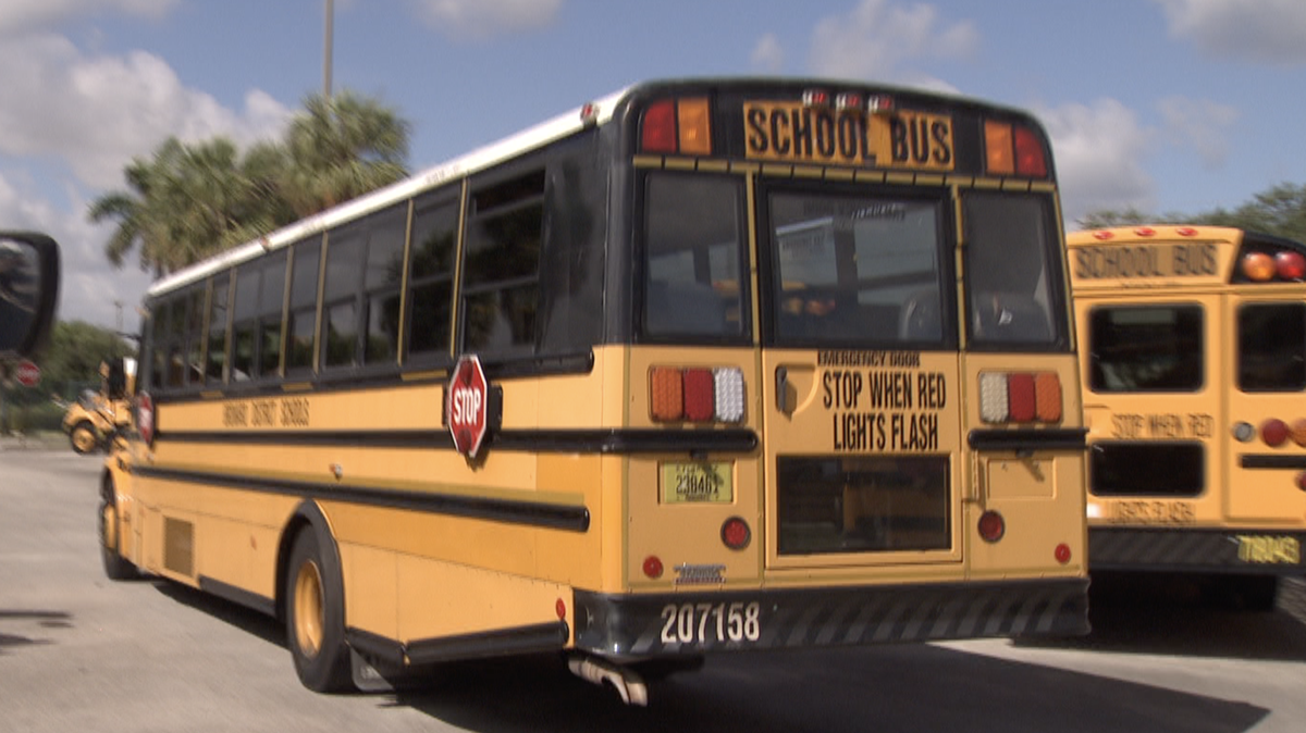 School bus/File