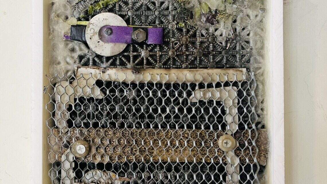 AnEyeDiary’s summer pop-up at the historic Dorn Building is artists’ choice